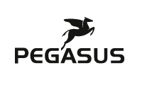 Logo: https://www.pegasus-bikes.de/de-de/